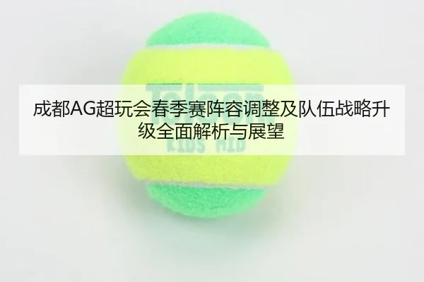 成都AG超玩会春季赛阵容调整及队伍战略升级全面解析与展望
